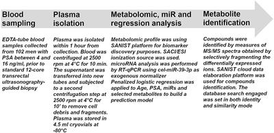 Two Novel Ceramide-Like Molecules and miR-5100 Levels as Biomarkers Improve Prediction of Prostate Cancer in Gray-Zone PSA